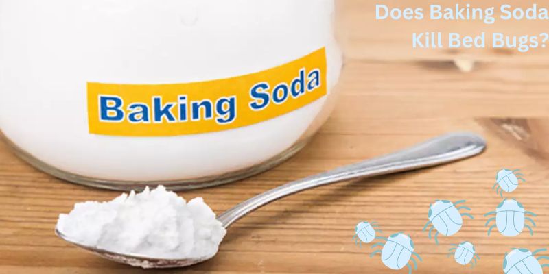Does Baking Soda Kill Bed Bugs?