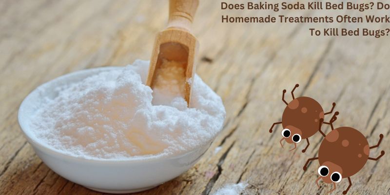 Does Baking Soda Kill Bed Bugs? Do Homemade Treatments Often Work To Kill Bed Bugs?