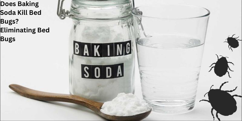Does Baking Soda Kill Bed Bugs? Eliminating Bed Bugs