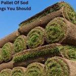 How Much Does A Pallet Of Sod Weigh? 3 Best Things You Should Know