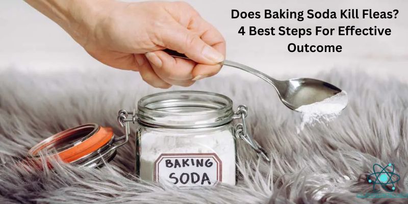 Does Baking Soda Kill Fleas? 4 Best Steps For Effective Outcome