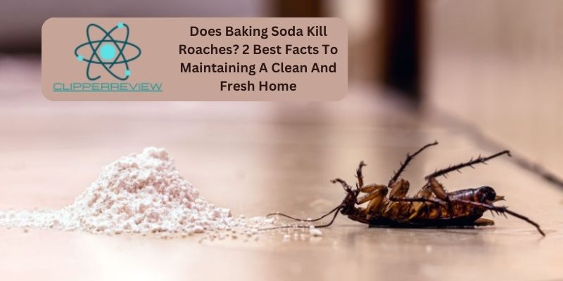 Does Baking Soda Kill Roaches? 2 Best Facts To Maintaining A Clean And Fresh Home